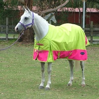 Minicraft Mini Sunbreaker Rug LHP [SIZE: 3'0 ]
