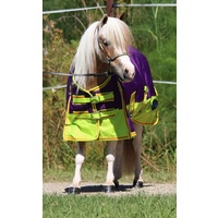 MiniCraft Mini Sunbreaker Rug PLO