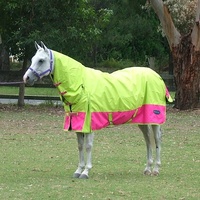 Minicraft Mini Sunbreaker Combo LIME/HOTPINK/PURPLE [SIZE: 2'6]