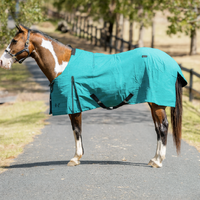EP Deluxe Lined Winter Canvas  Rug