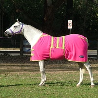 MiniCraft Polar Fleece Rug - HPL