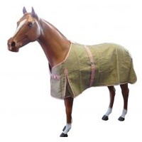 Jute Rug [Size: 6'9]