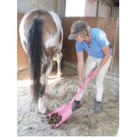 Stable Shovel [COLOUR: BLACK]