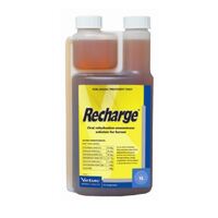 Recharge Horse Electrolyte liquid