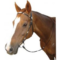 Poco Silver Western Bridle