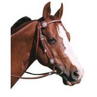 SILVER STUD BRIDLE