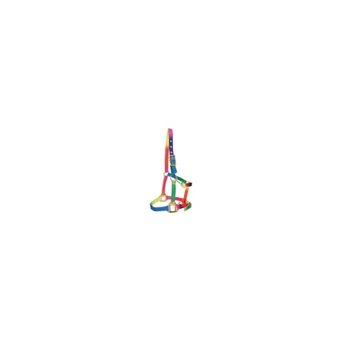 Bambino Rainbow  Headstall [Size: PONY]