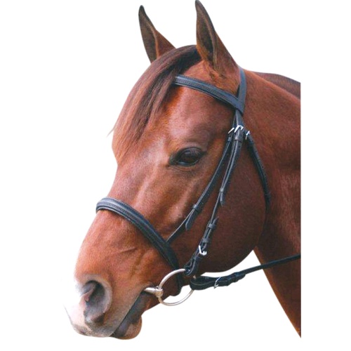 Eureka Cavesson Snaffle Bridle [Colour: Black] [Size: Pony]