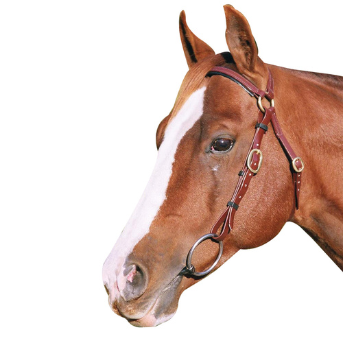 PVC Barcoo Bridle [Colour: Black] [Size: Full]