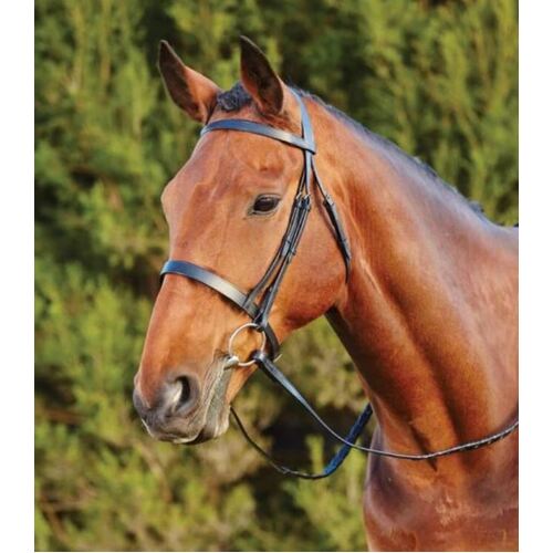 Kincade Cavesson Bridle [Size: Pony] [Colour: Brown]