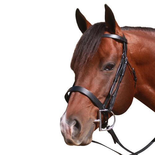 Flat Leather Cavesson Bridle [Size: Pony]