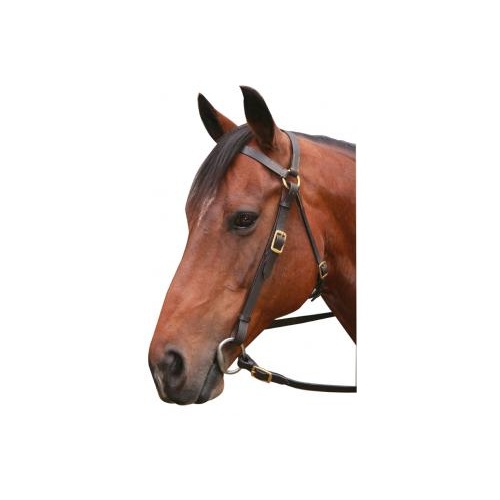 Leather Barcoo Bridle with Brass fittings [Size: Pony] [Colour: Black]