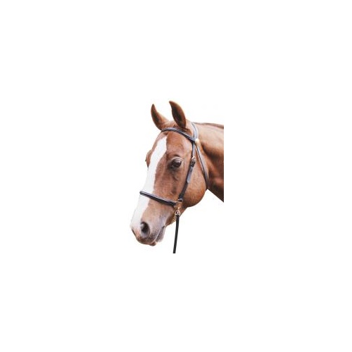 Eureka Lead-in Bridle [Size: PONY]