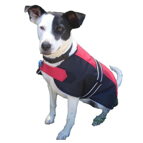 Two Tone Dog rug [Dog Rug Size: 80cm]