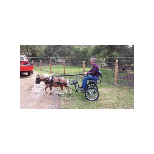 Jinker Buggy