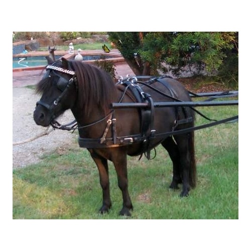 Black Leather Shetland Pony Mini Miniature Driving Horse Harness w/ Blue Stars 