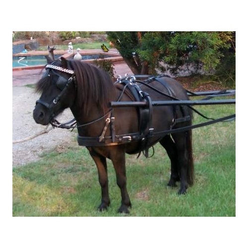 Heritage Driving Harness [Size: Shetland]