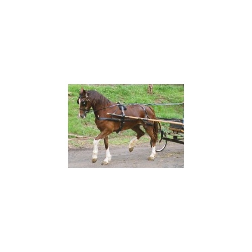 PVC Driving Harness [Size: Miniature]