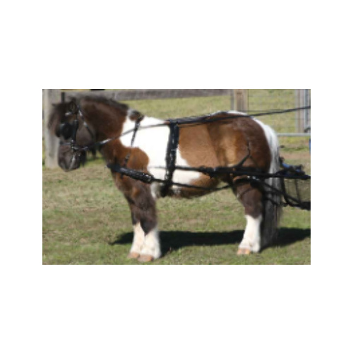 Zilco SL Driving Harness - Small Pony 