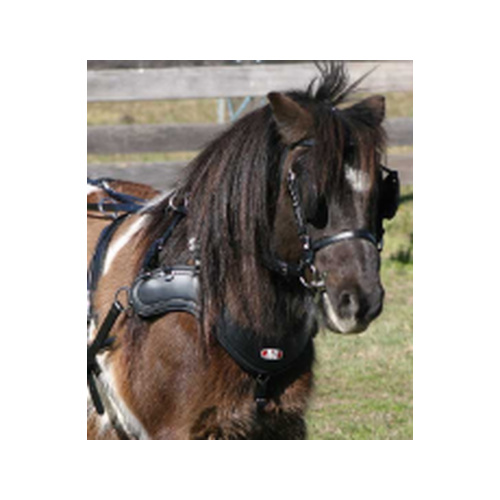 SL Sportz Harness Set