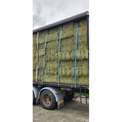 New Season Prime LUCERNE HAY