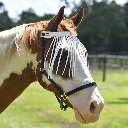 PVC Fly Veil for horses 