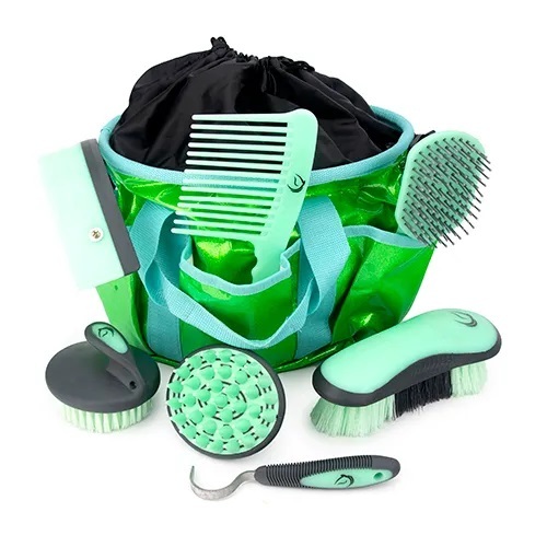 Glitter Grooming Kit with Brushes [Colour: Green/Blue]