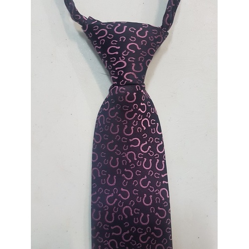 Horseshoe Adults Tie - Pink/purple