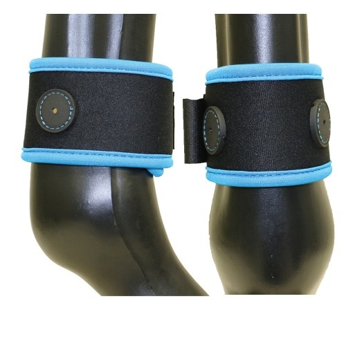 Magnetic Fetlock Wrap