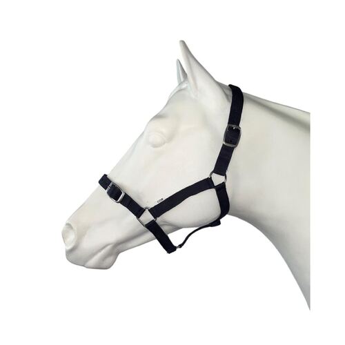 Headstall NP Buckle