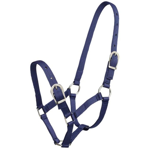 Small Pony Halter - Navy
