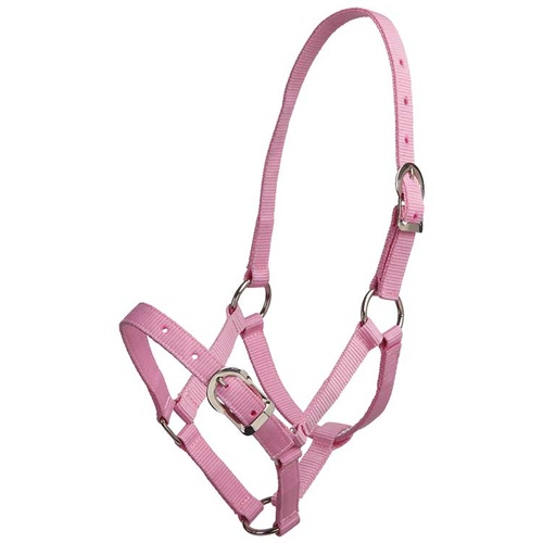 Buy Small Pony Halters and headcollars Pink Horses Warehouse