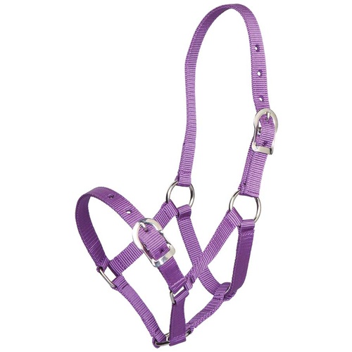 Buy Small Pony Halters and headcollars Purple Horses Warehouse