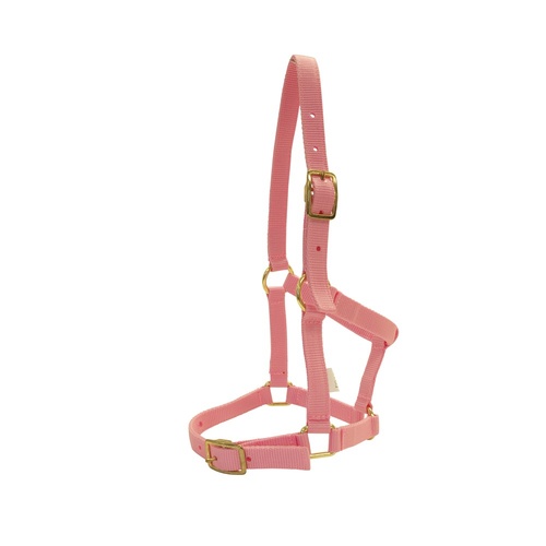 Foal Halter with buckles [Colour: Pink]