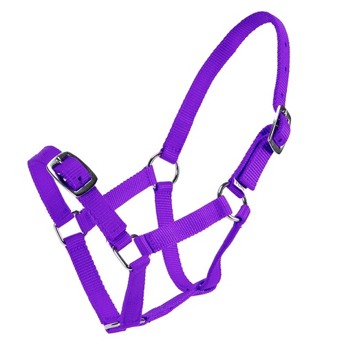Economy Foal Halter
