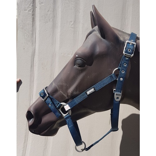Continental Warmblood Headstall