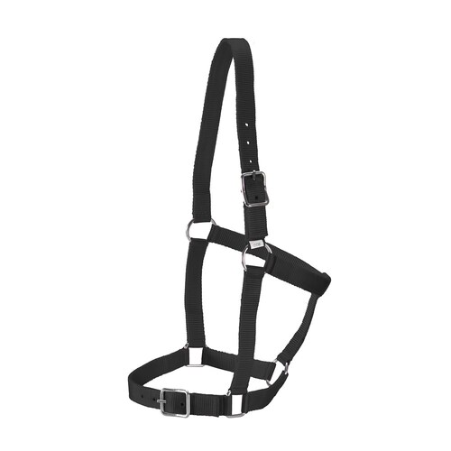 Stable Halter [Colour: Black] [Size: Pony]