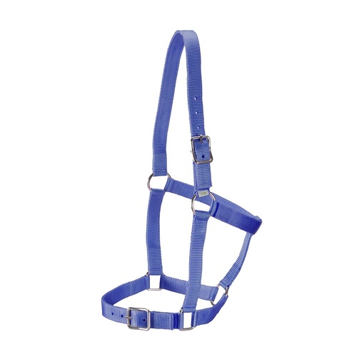 Stable Halter [Colour: Blue] [SIZE: Pony]