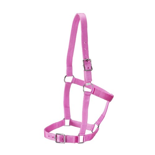 Stable Halter [Colour: Pink] [Size: Pony]