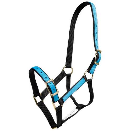 Pastel Headstall