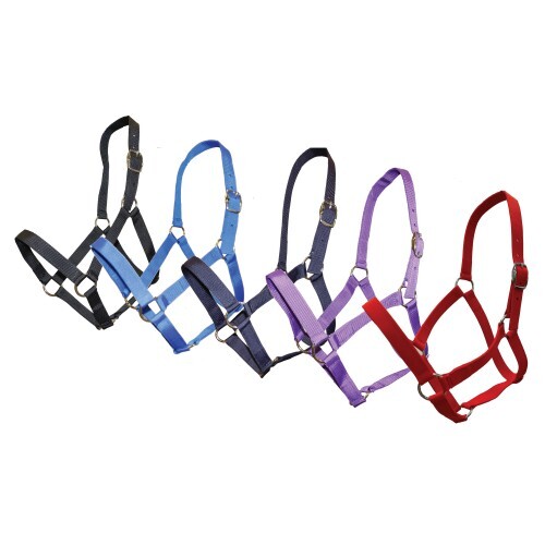 Stable Halter - ass colours [Size: Full]