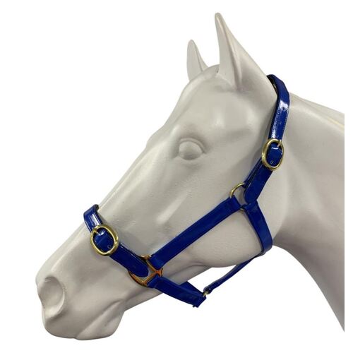 PVC Brass Halter [Colour: Blue] [Size: Pony]