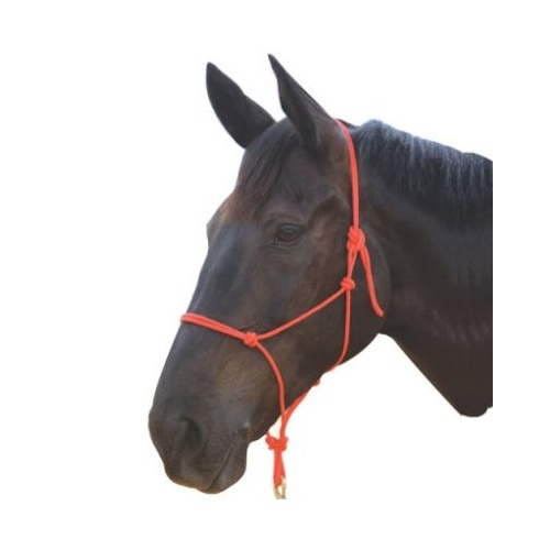 Roma Nylon Rope halter [SIZE: Blue Pony]