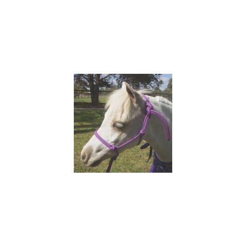 Minicraft Mini Rope Halters [Size/Colour: XS Maroon]