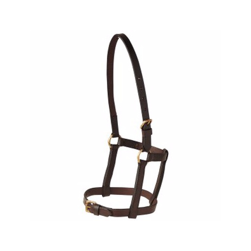 Leather Mini Halter