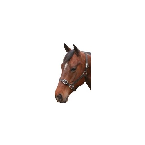 Eureka Leather Headstall [Size: Pony]