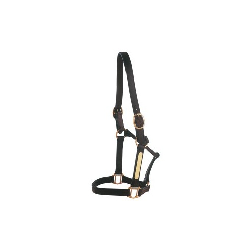 Thoroughbred Nameplate Halter