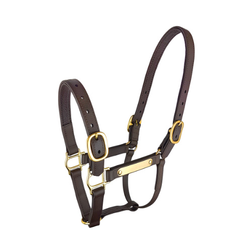 PN Deluxe Halter Brown [Size: Cob]