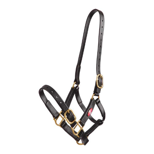 Pvc Headstall 25MM [Size: Full]