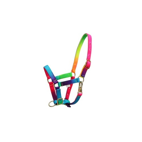 RAINBOW FOAL HEADSTALL
